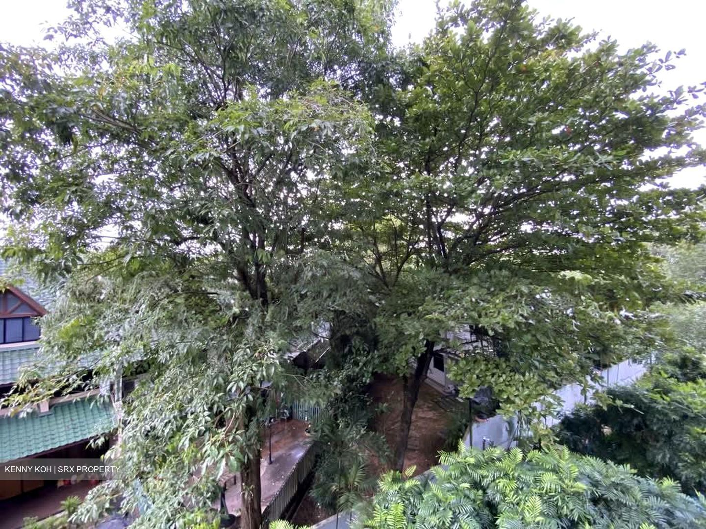 38 Jervois (D10), Apartment #535877691